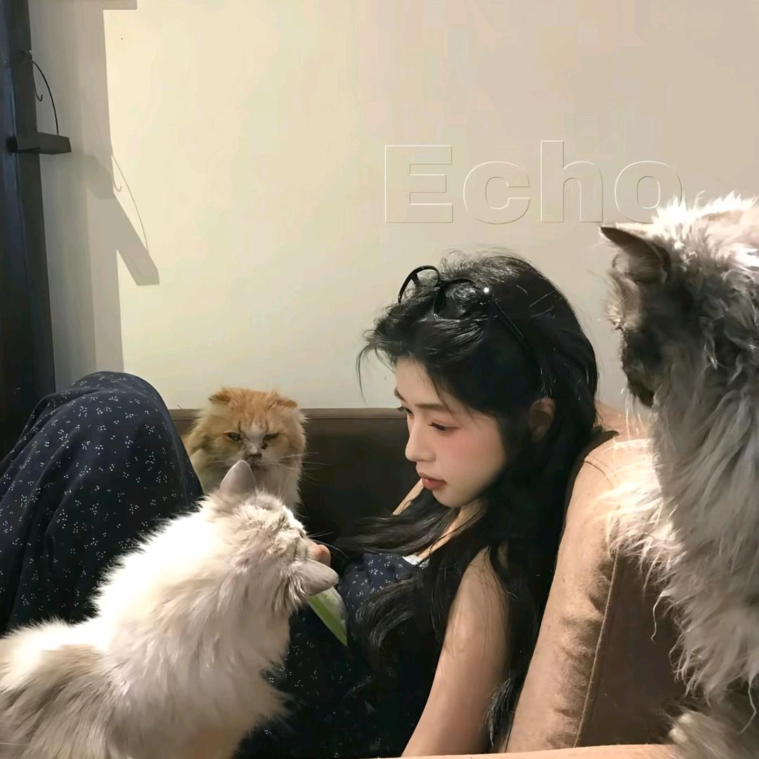 是含不是涵