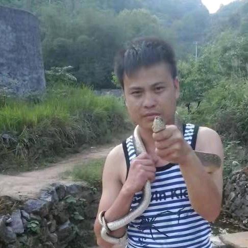 🐟荣俱荣