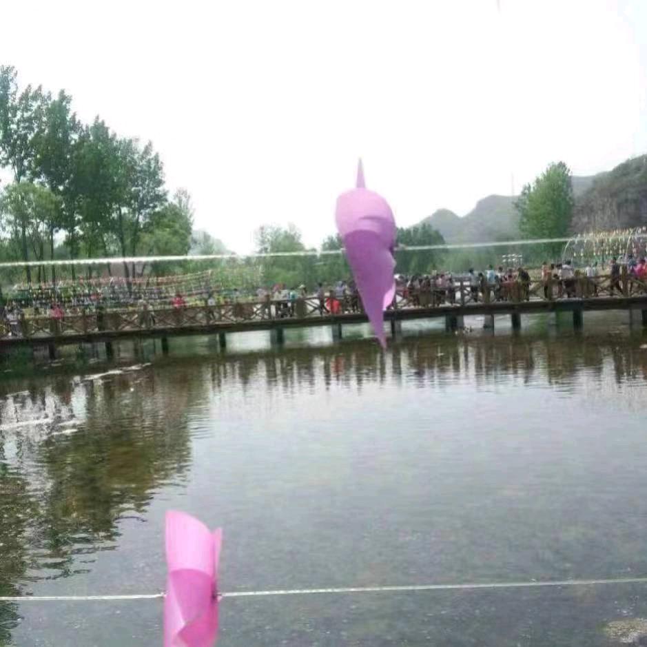 心静如水a