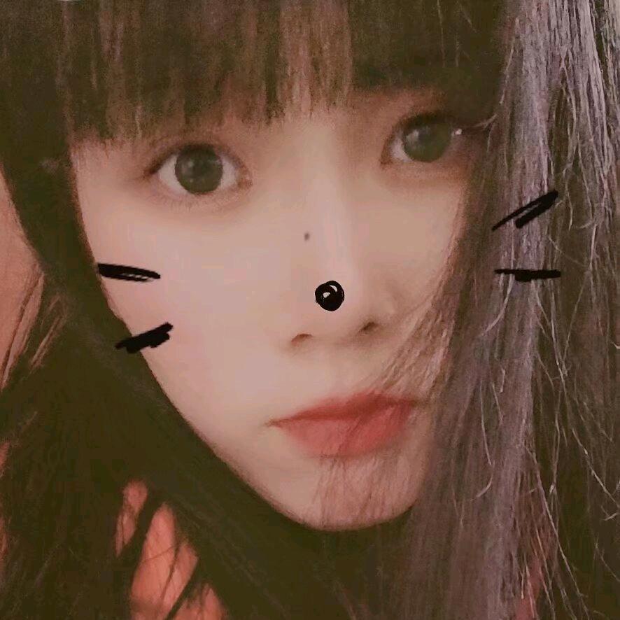 禅禅