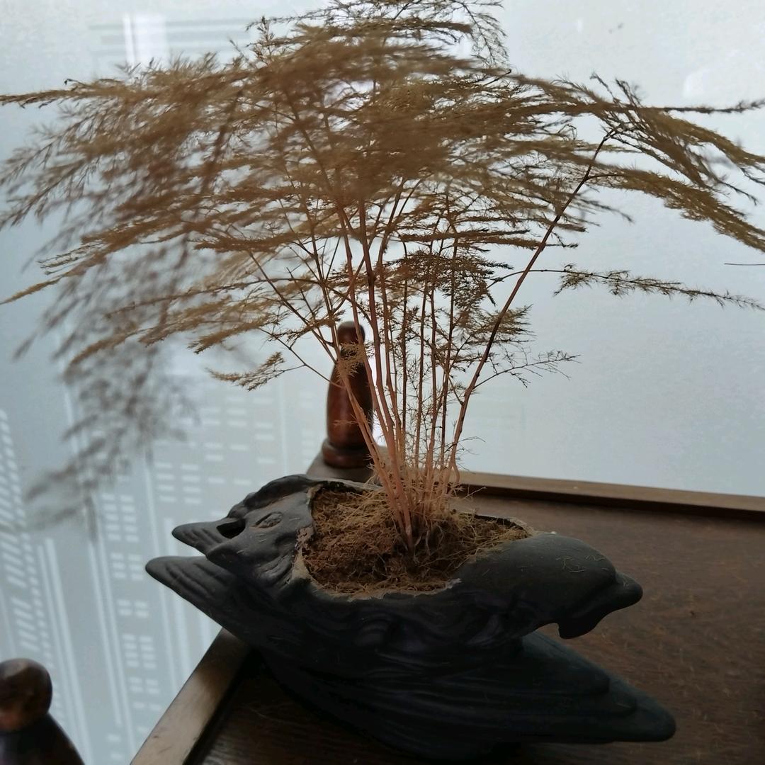 独处