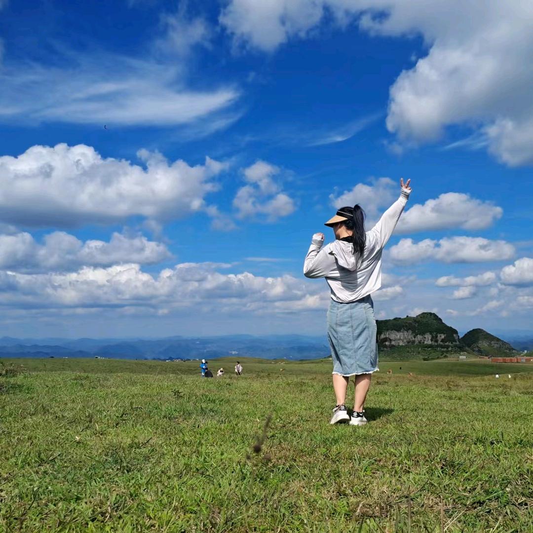 野丫头