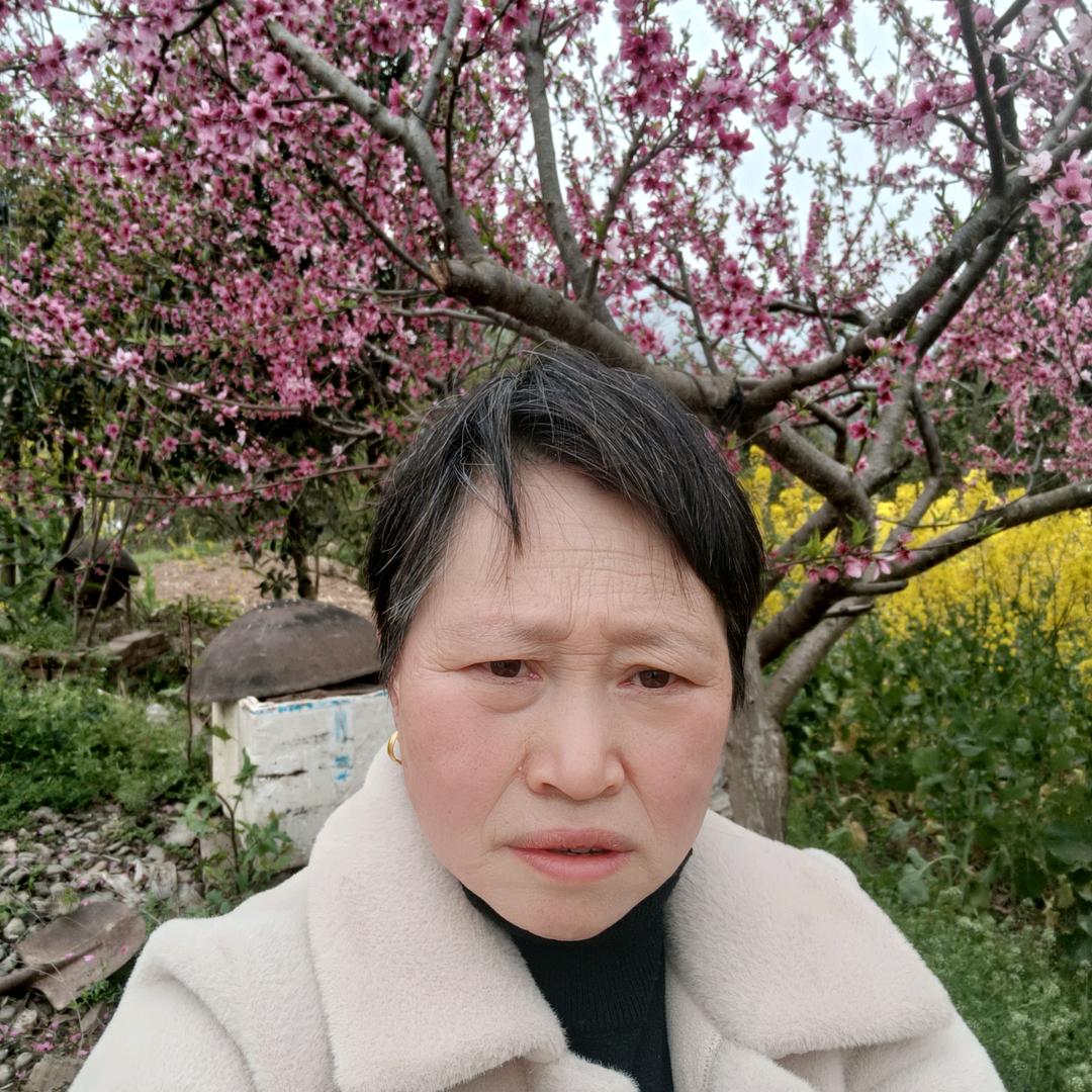 用户1212541490069