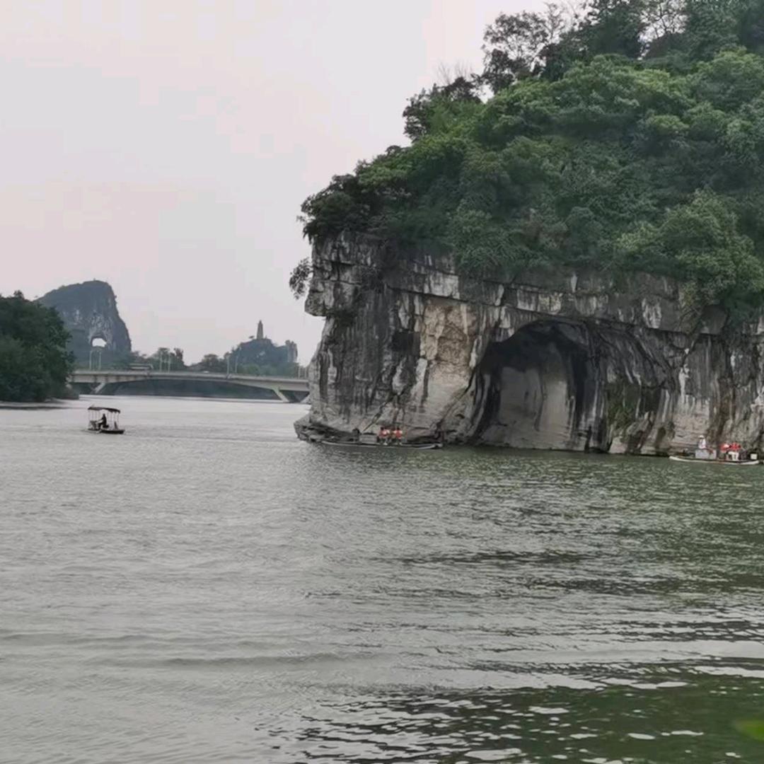 幸运草