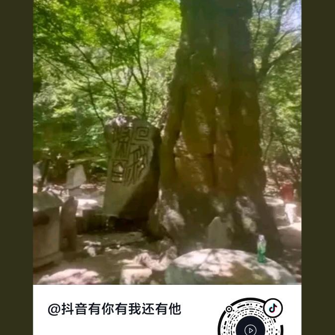 努力坚持奋斗