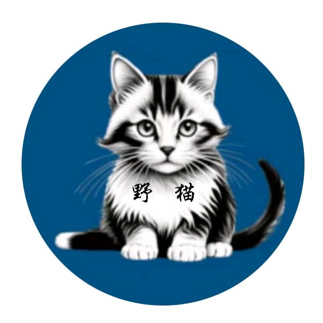 野猫无人硬件智能终端机