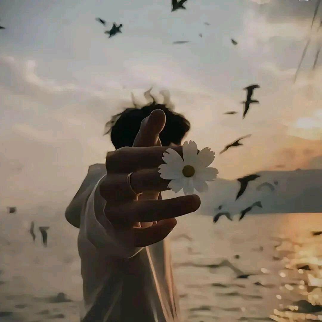 苍若尘💫