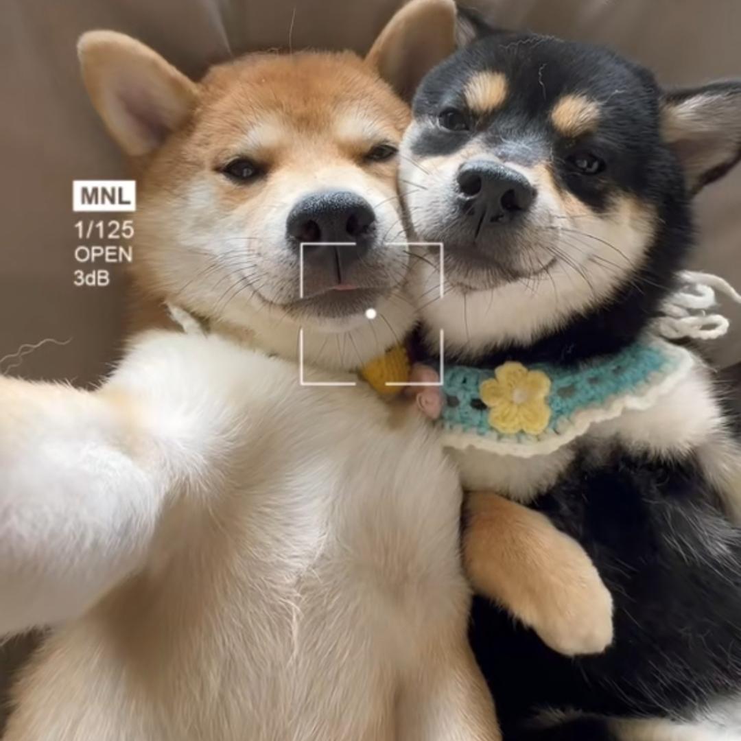 许海瑞不是幼稚鬼