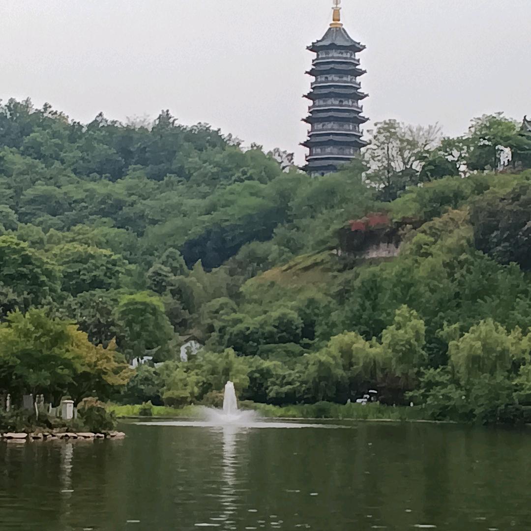 钓鱼王