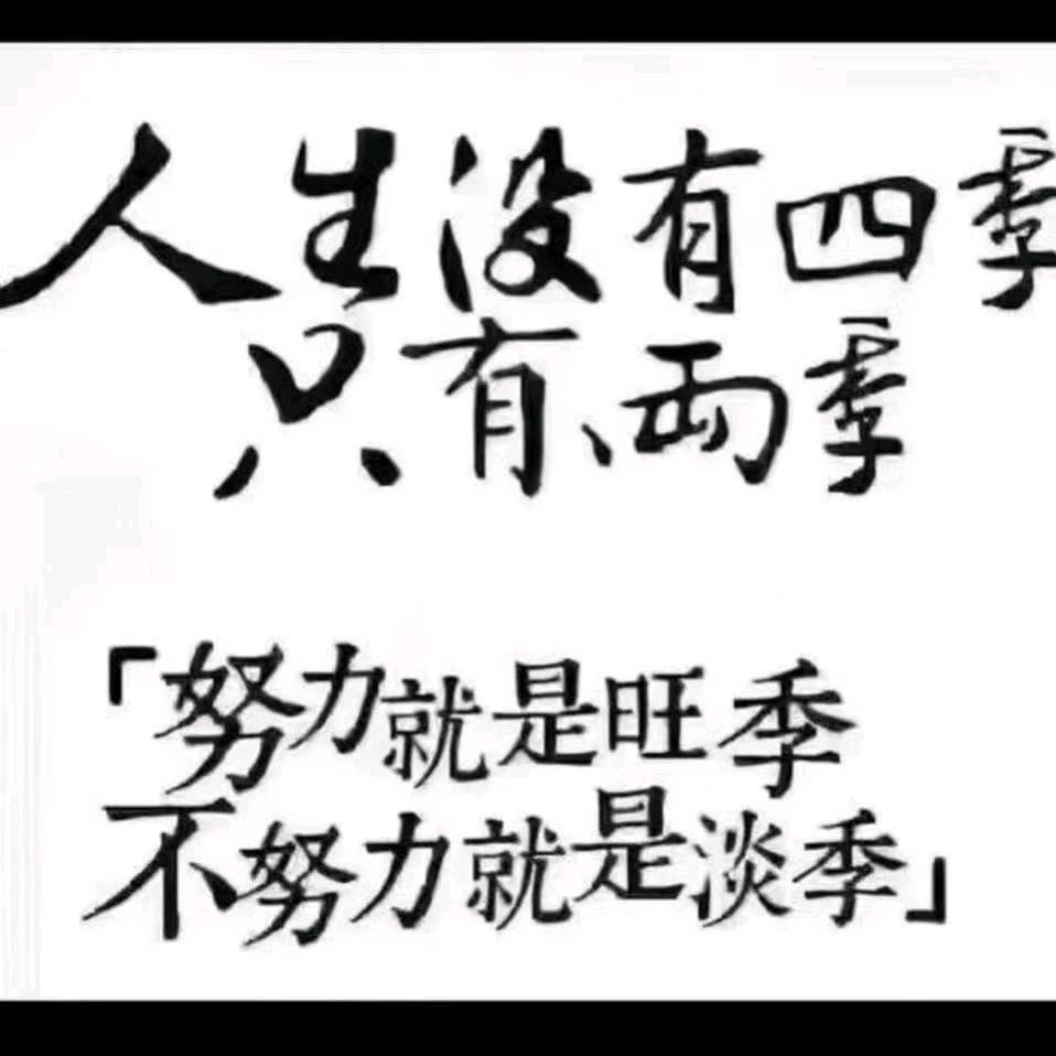 小马哥