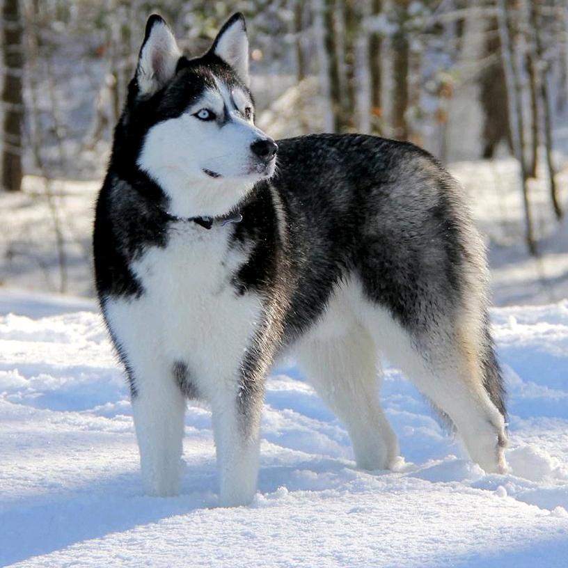 ❦᭄年ꦿꦿྂ҈轻ꦿྂ҉人ꦿ᭄ོ