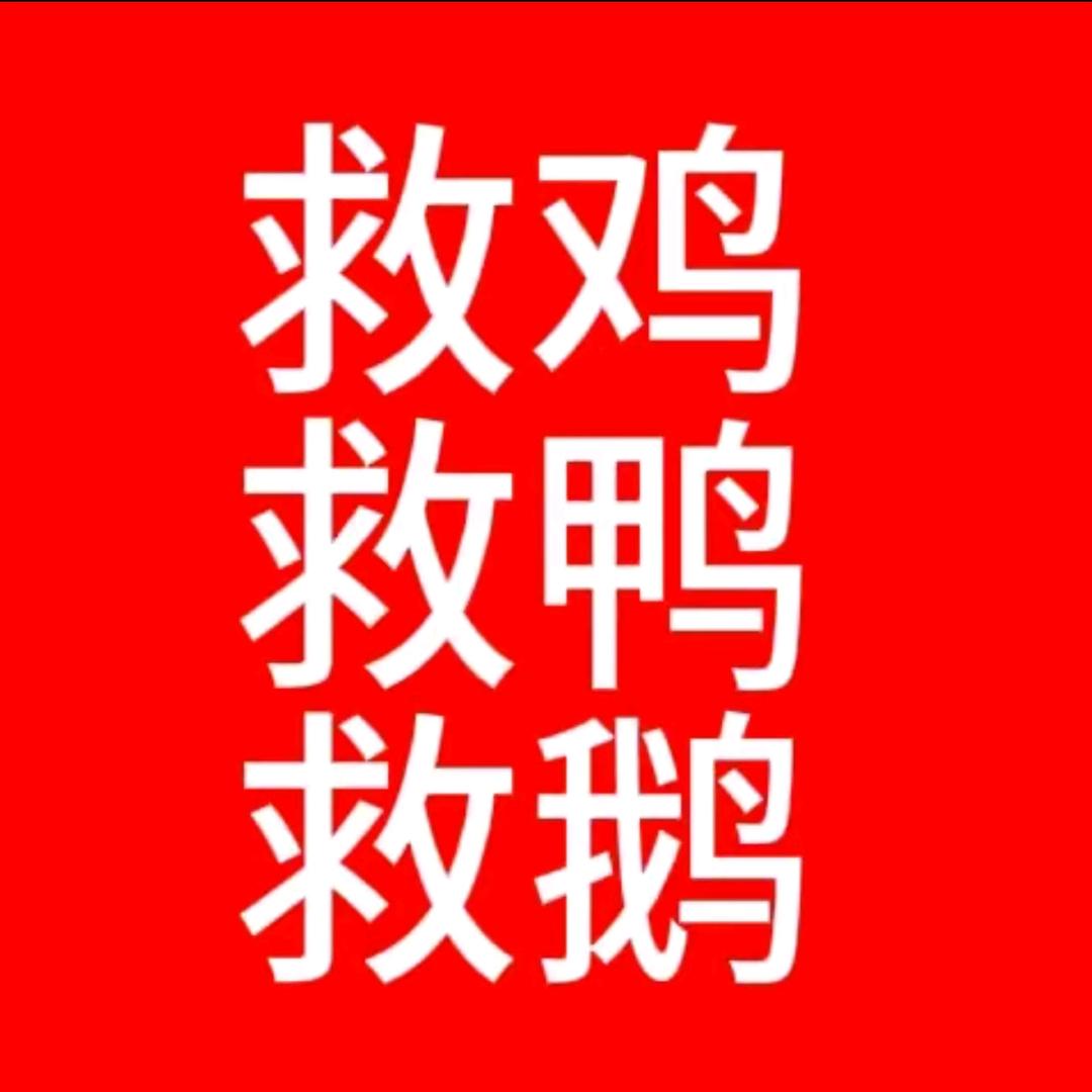 刘老师教养殖