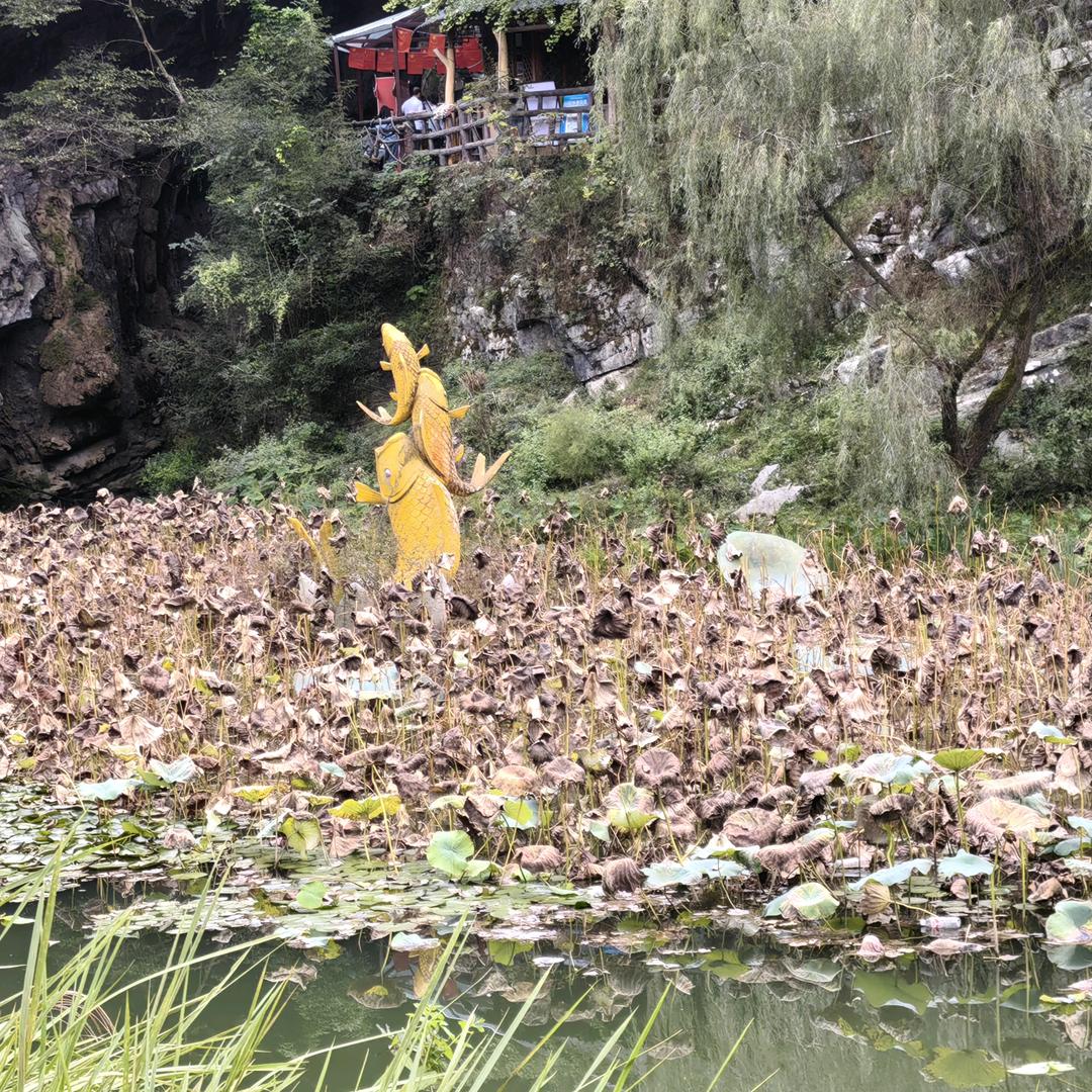 山果峰