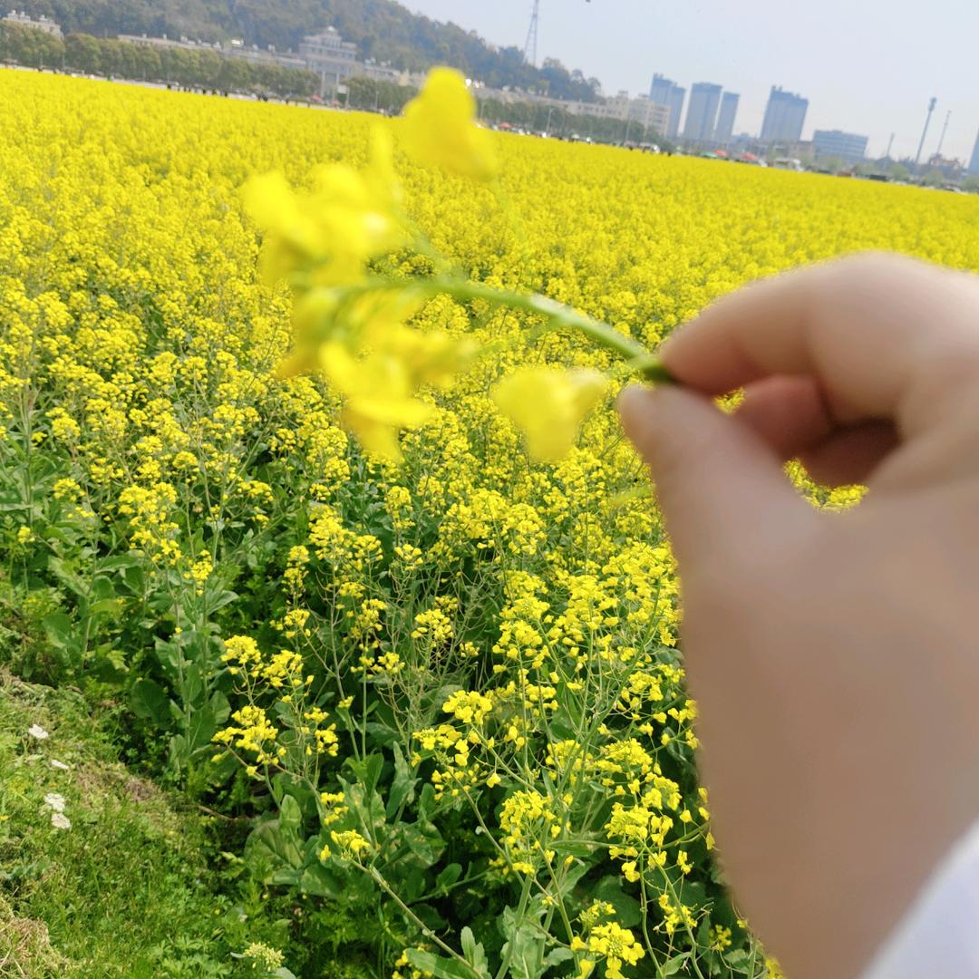 🚬᭄ℯ⃝人生ღ᭄靠ꦿ꯭自己꧔ꦿ℘