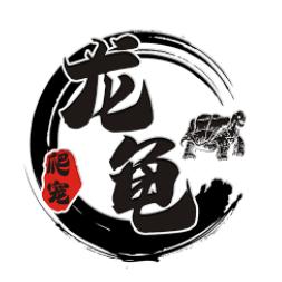 龙龟爬宠