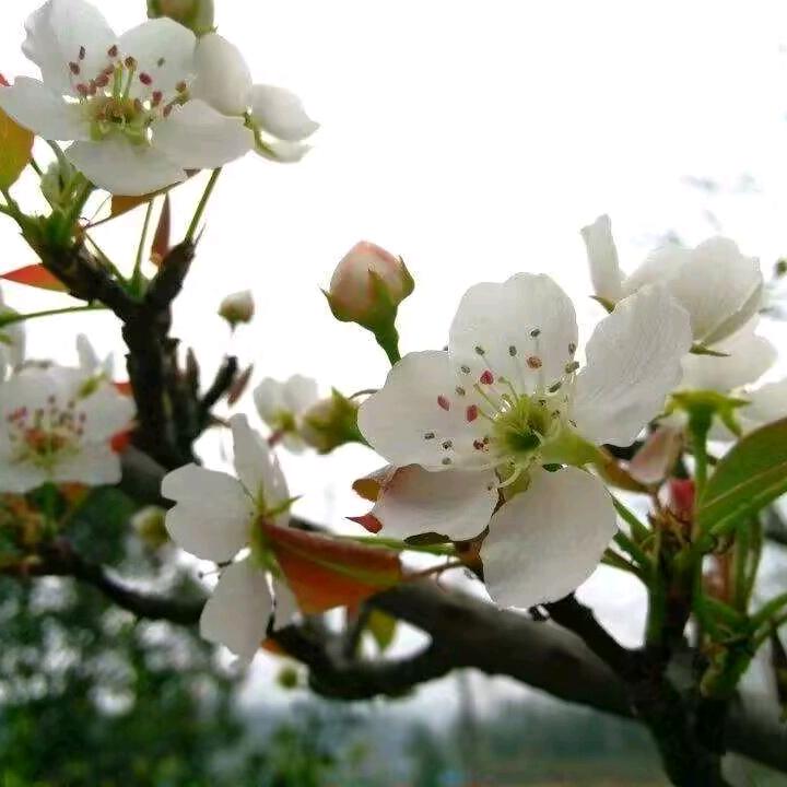 快乐🕊