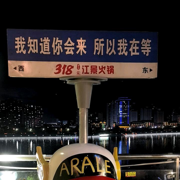 🌼向日葵
