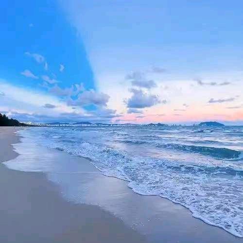 海洋✌