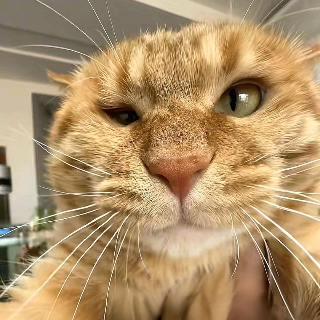 今晚没睡饱