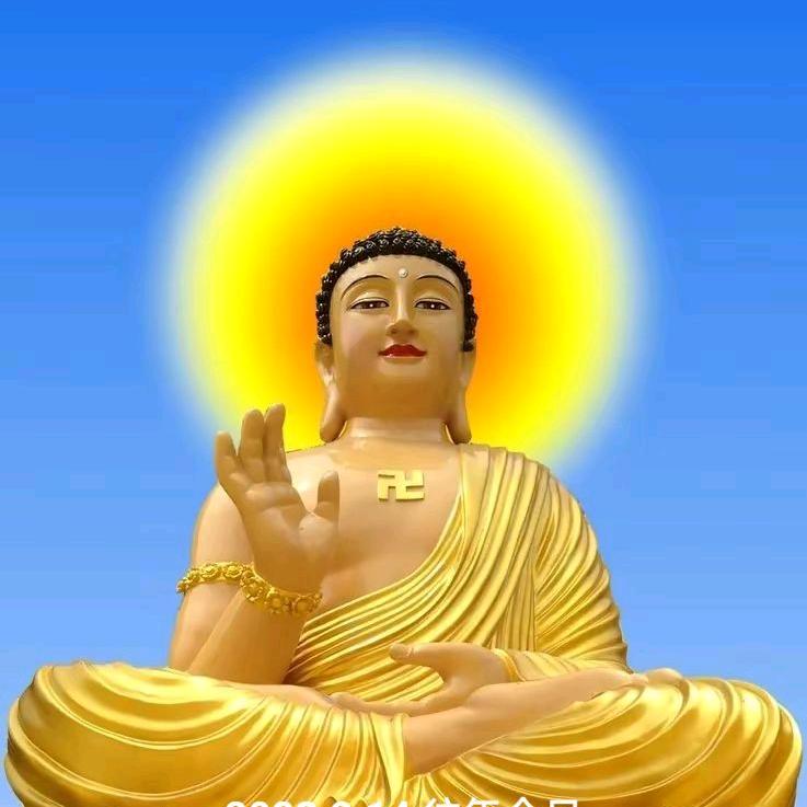 佛缘精彩人生