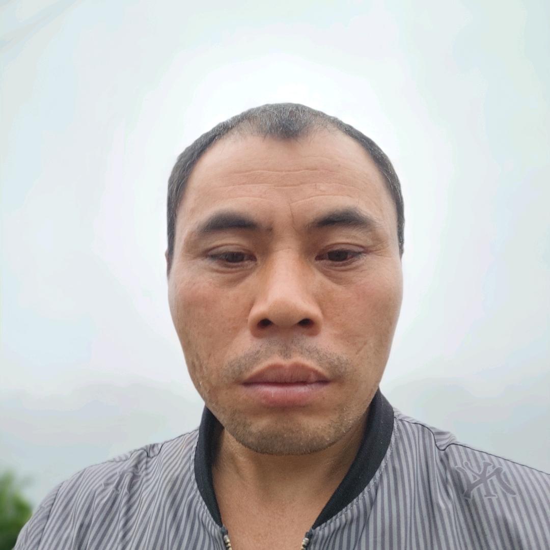 一生只爱你单