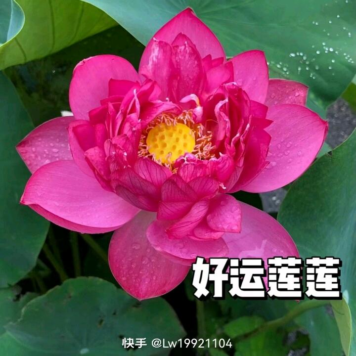 安好晴天