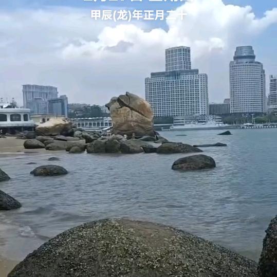 柊