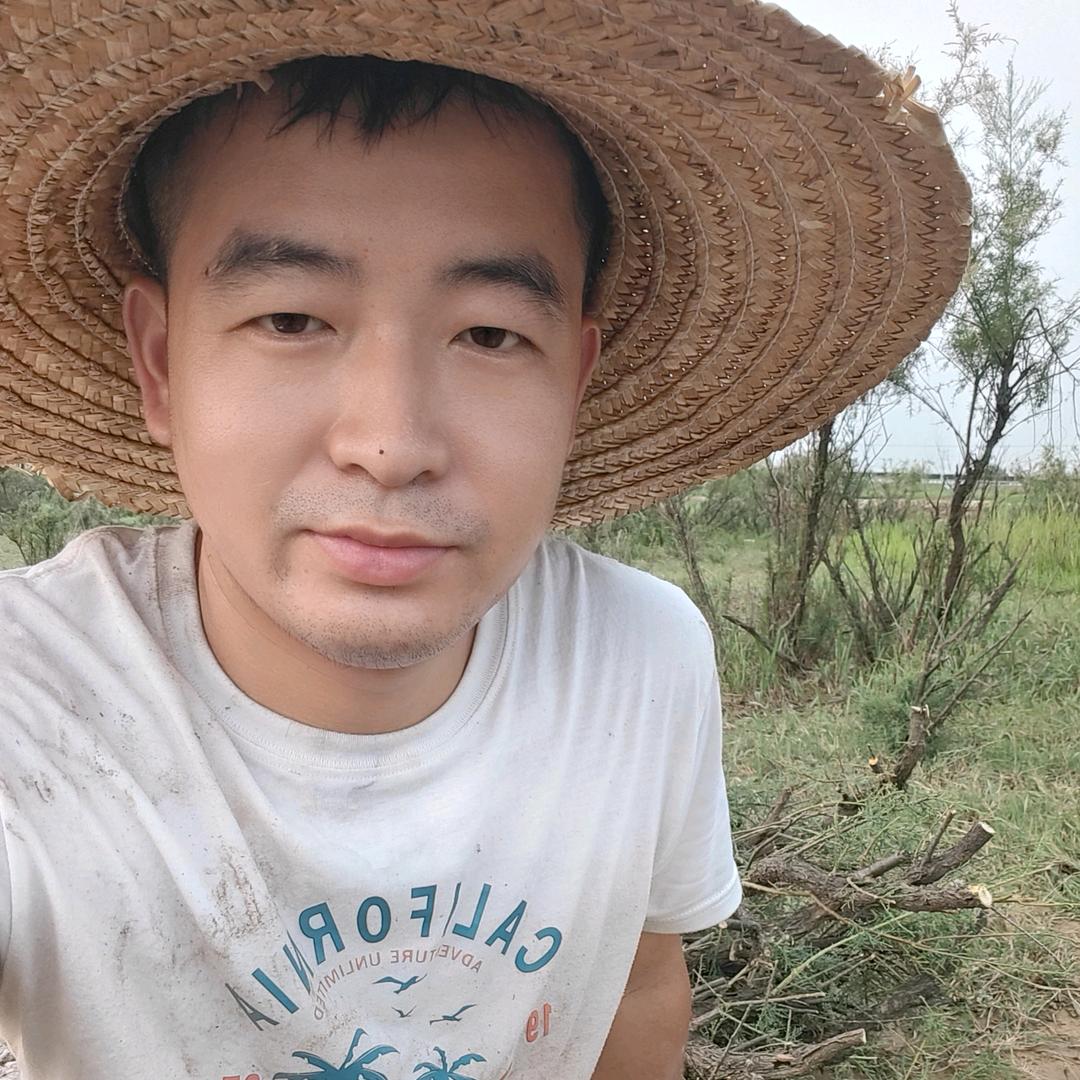 小鹿盆景桩园