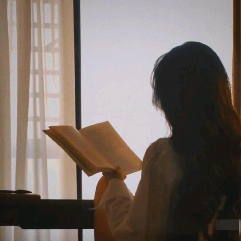 升学指导-小莫老师