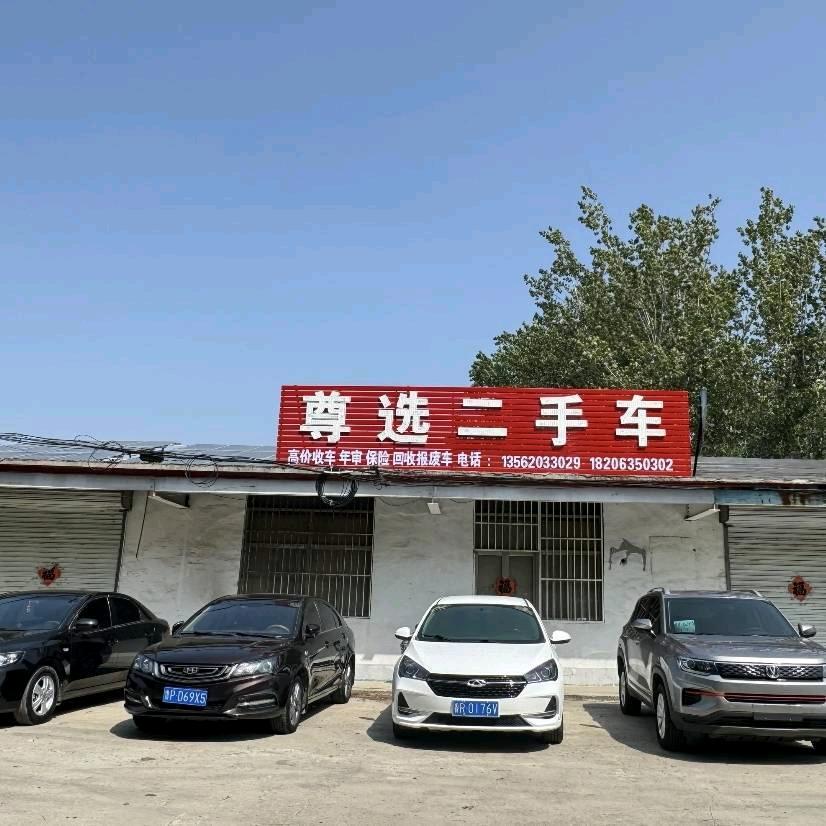 聊城高新区尊选二手车婷婷