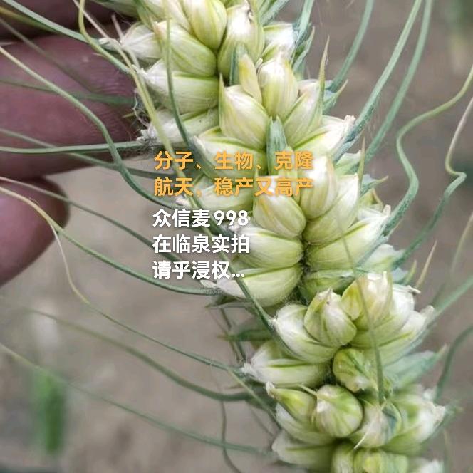 因果定律