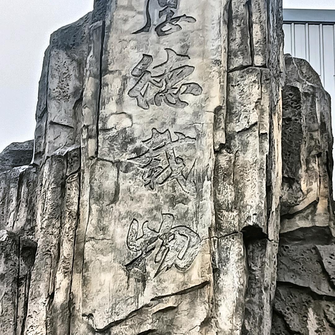 郭鑫