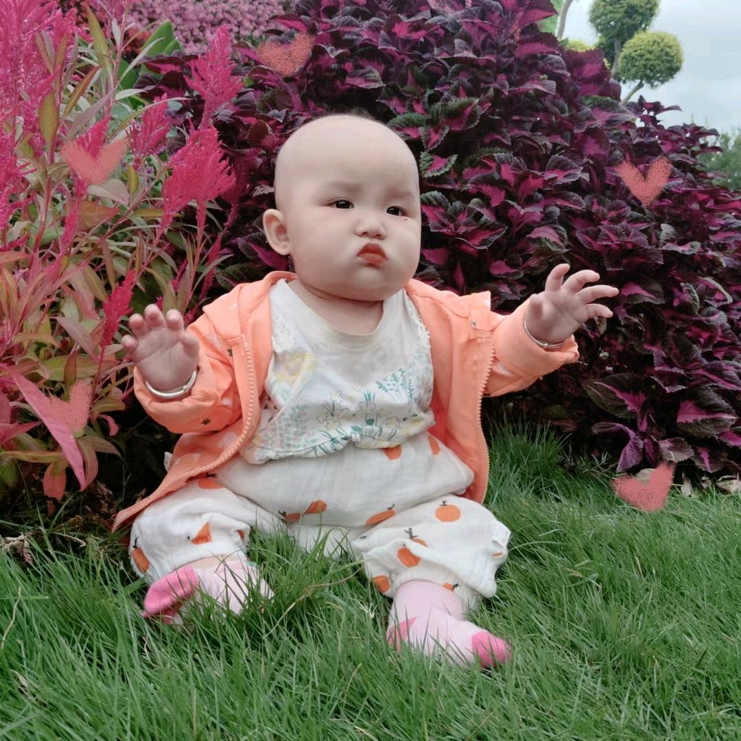 花🌹🌹🌹中之王