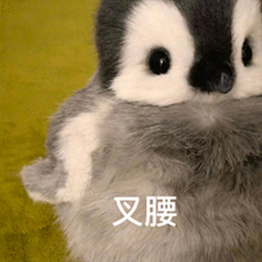 今晚一定早睡