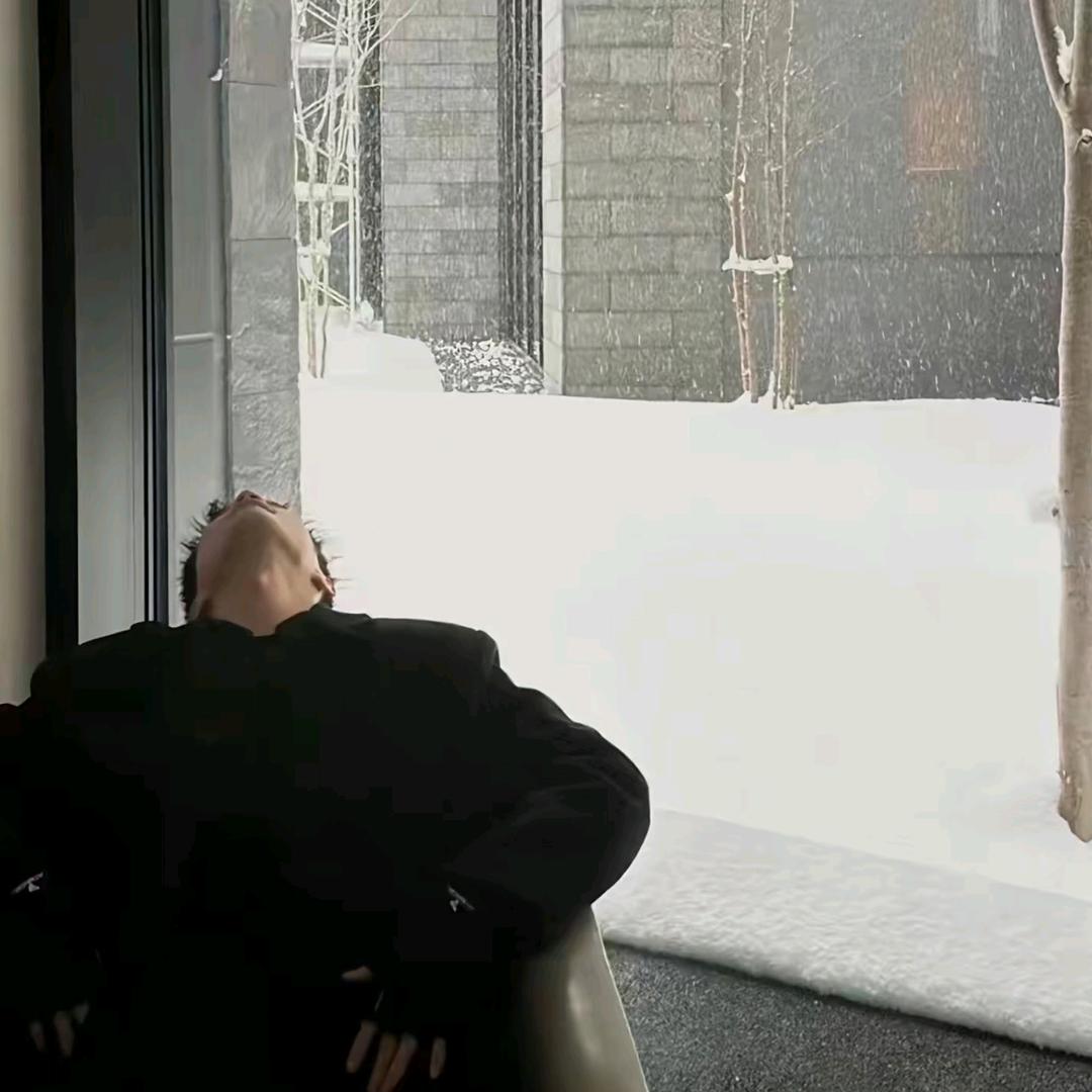 阿尔卑斯的月光♍