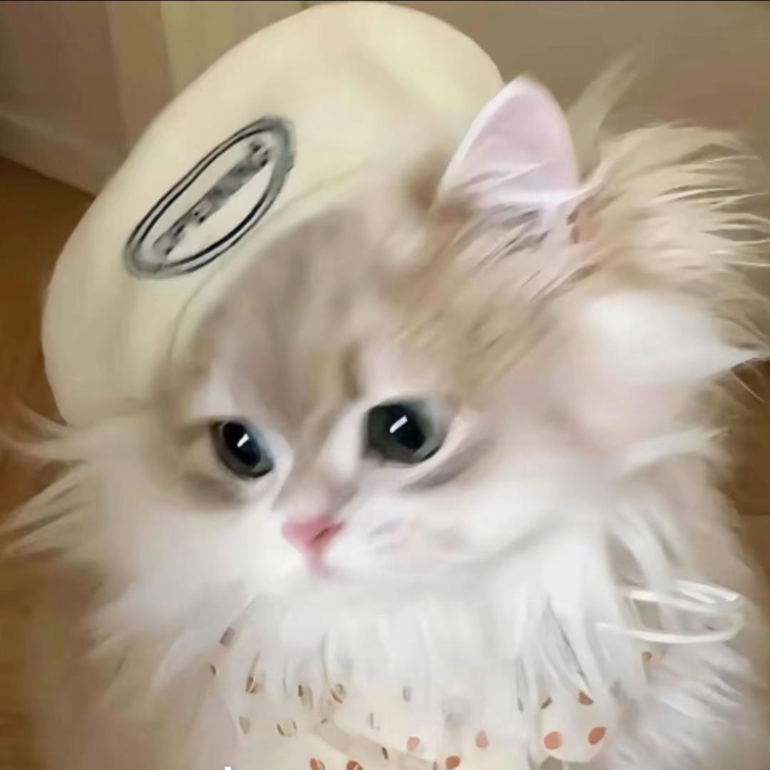 Y-J头像
