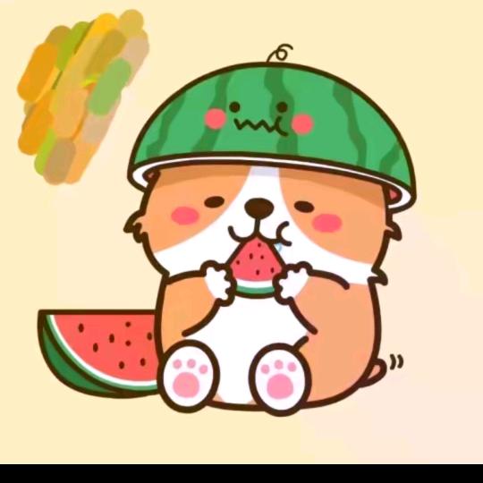鹏哥 聊信用