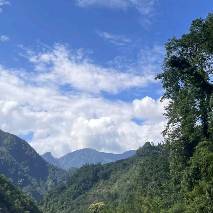 明月