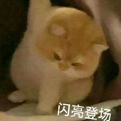 文韬五月天下第七