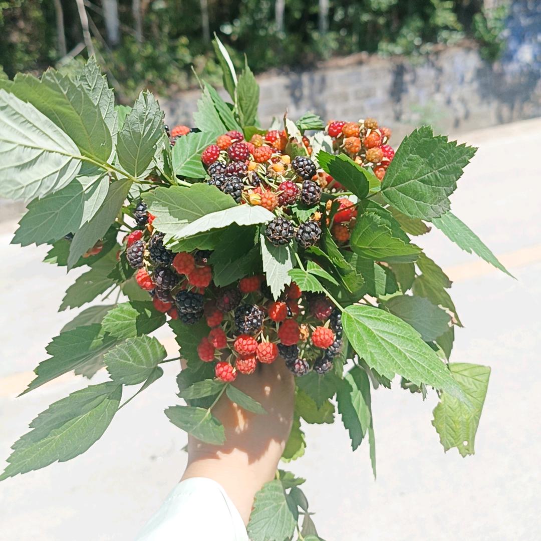 💞ℒᎭℯ⃝偏爱与例外