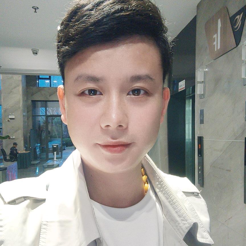 要飞的猪