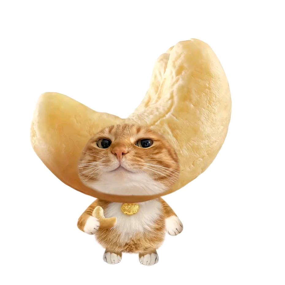 安之