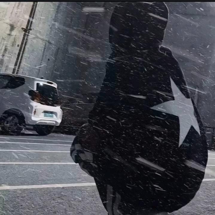 L0Z8N