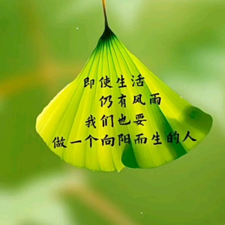 🚬᭄俗子ঞৣঁ游红尘᭄