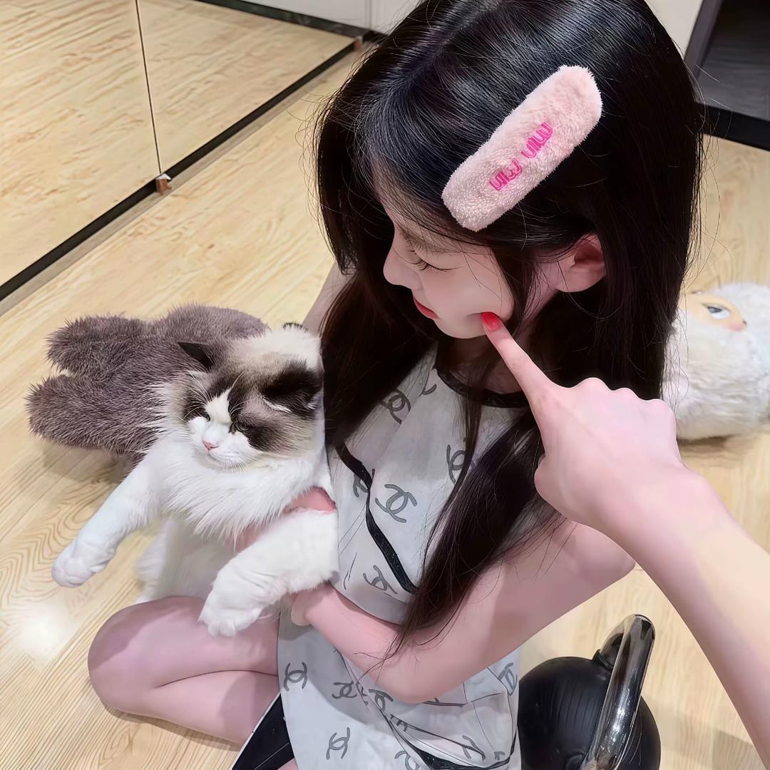 不吃🐟小猫