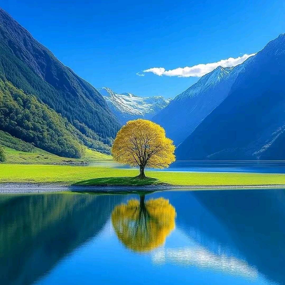 醉美义乌🦄🦄