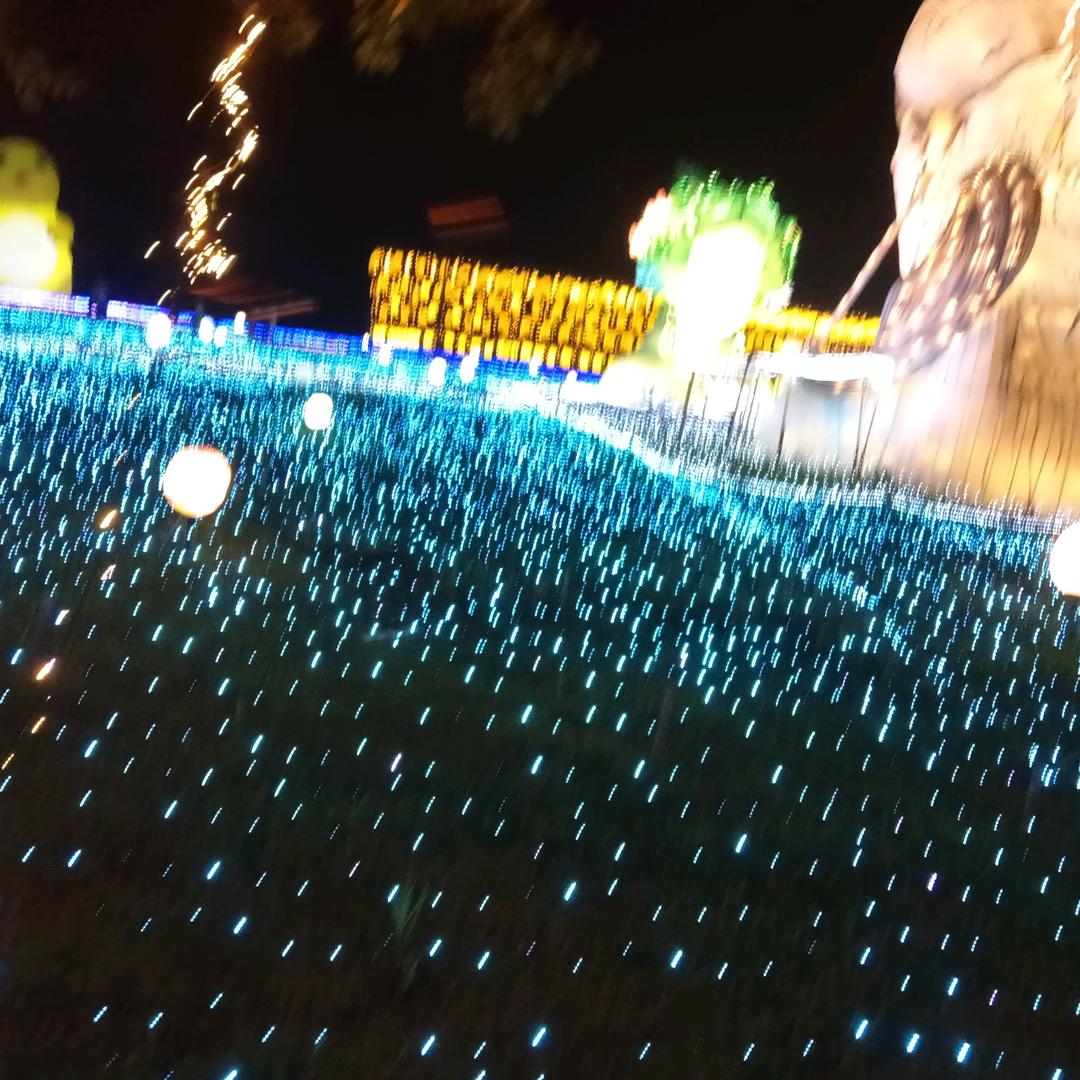 最好别惹我🌲🎄