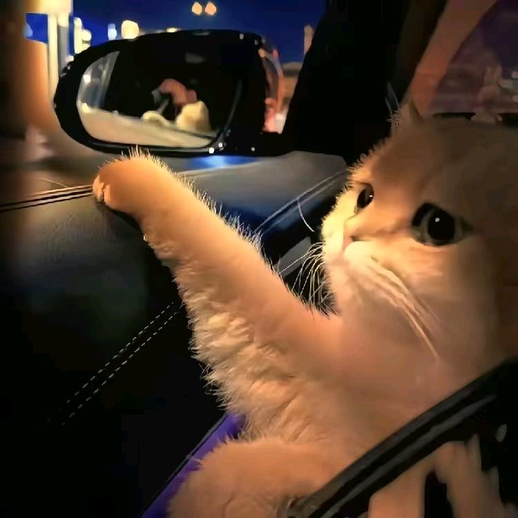 南征北战不服就干🐬