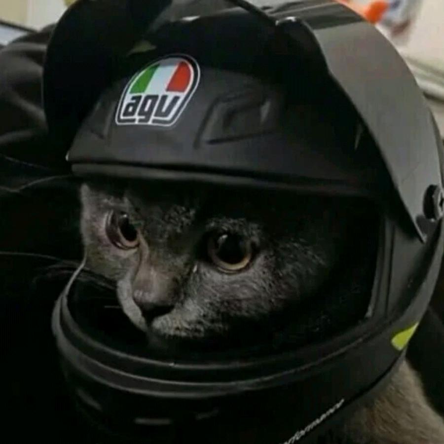 ิۖิۣ ۣۣۖۖۖۖิۖิิۣۣۖۖิ