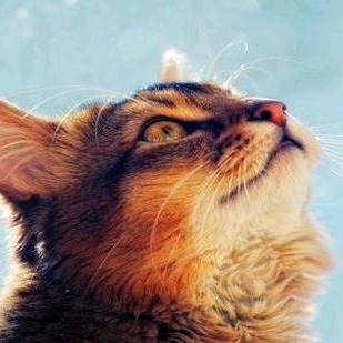 ～🌈💖海阔天空🕊🌈～